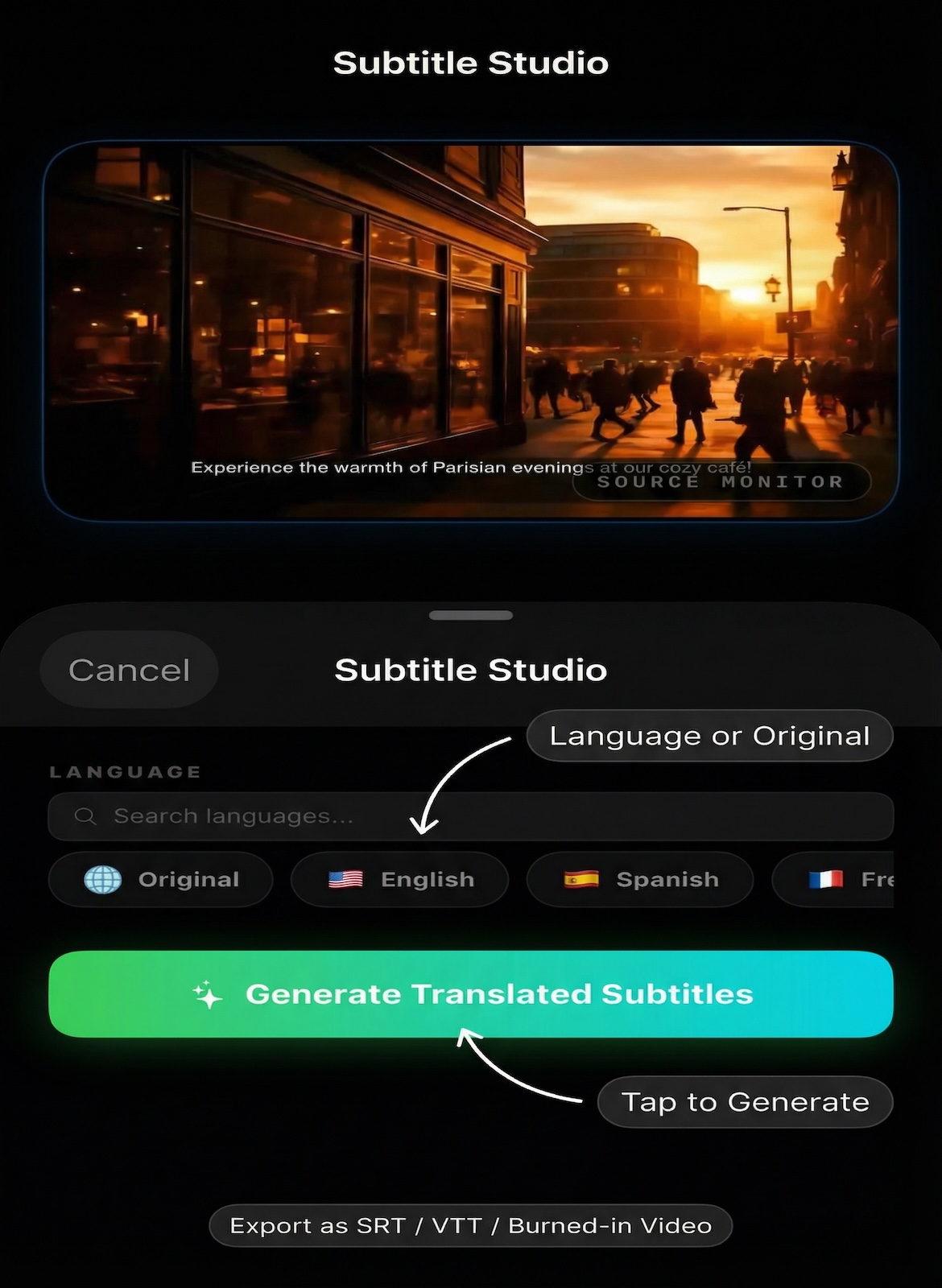 Subtitle Studio mode — AI subtitle generation and deep segment editing on iPhone